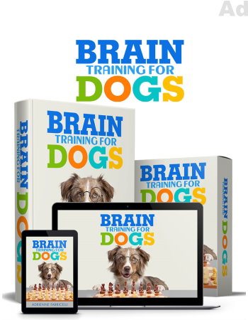 Brain Training for Dogs